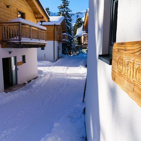 Luxalps- Turrach Alm Chalets Nr 1-4 Gruensee- Sauna- Skifahren- Wandern- Natur Turracher Hohe 外观 照片