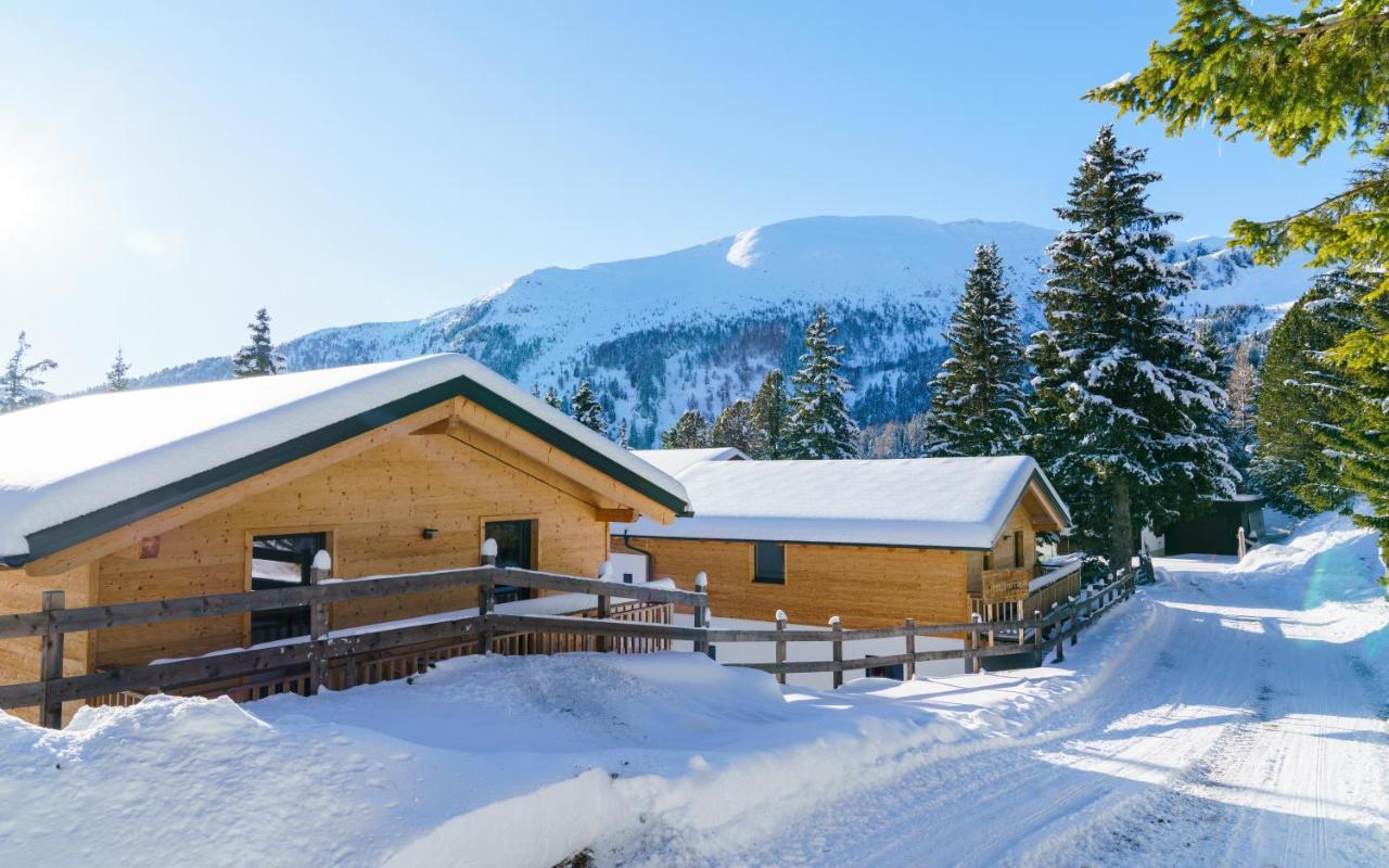 Luxalps- Turrach Alm Chalets Nr 1-4 Gruensee- Sauna- Skifahren- Wandern- Natur Turracher Hohe 外观 照片